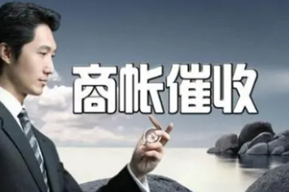青浦讨数公司